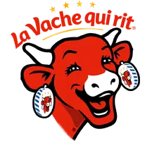 T-Fooh bij VV Hapert